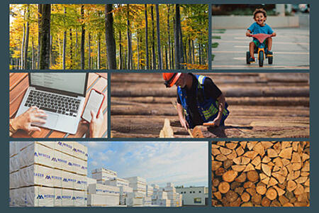 Blog | Moodboard Wald, Mercer, Kind auf einem Dreirad, Laptop, Holzverarbeitung
