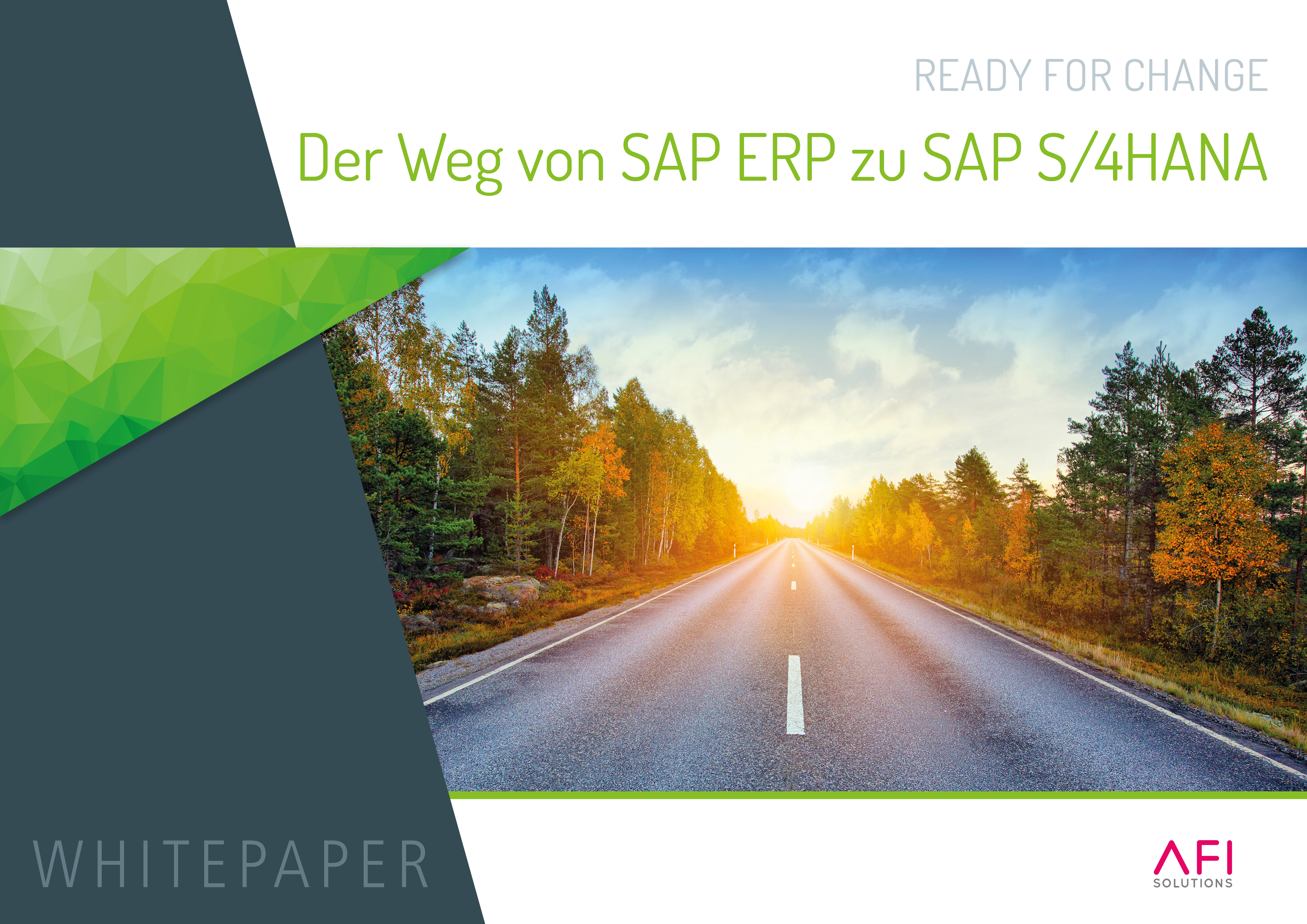 Bereit für den Wechsel zu SAP S/4HANA: Whitepaper ... Whitepaper Titelfolie mit Straße im Hintergrund Wald und der Sonnenaufgang oder Sonnenuntergang