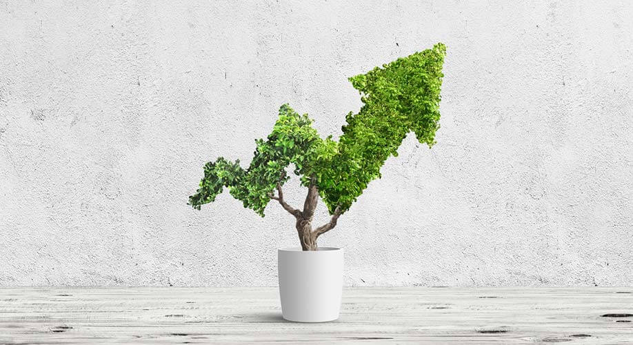 Mit Green IT gegen Klimawandel Pflanze in Pfeilform