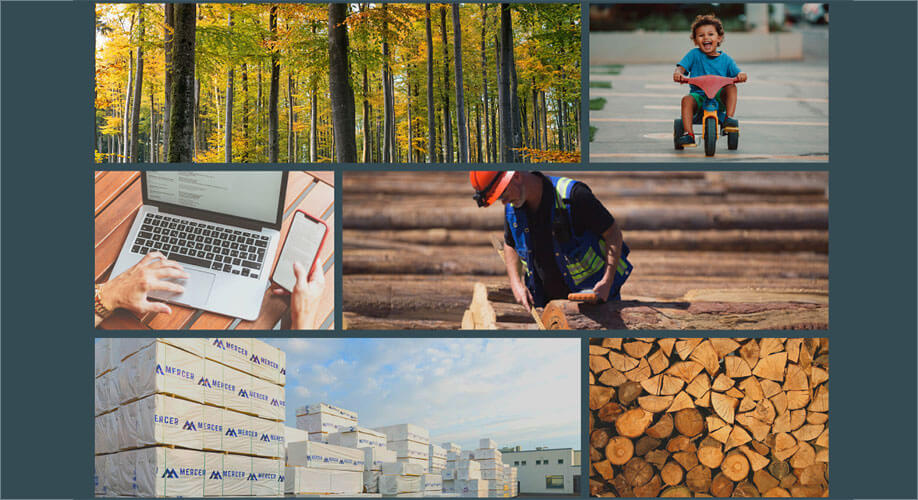 Blog | Moodboard Wald, Mercer, Kind auf einem Dreirad, Laptop, Holzverarbeitung