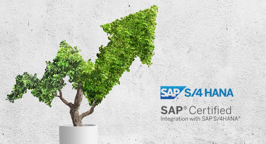 News SAP S/4HANA Zertifizierung Pflanze in Form eines Pfeils